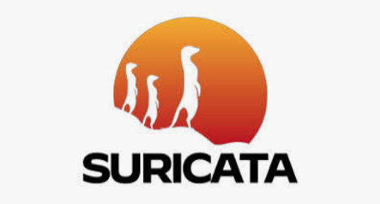 Technology partner 23